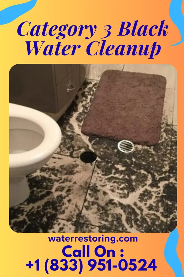 Category 3 Black Water Cleanup in Crystal City, MO